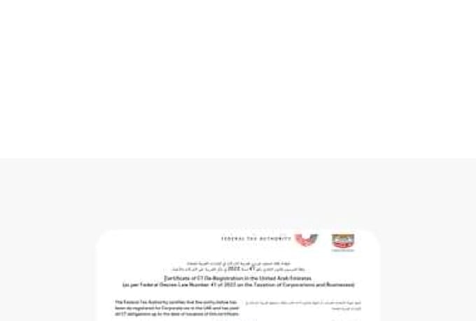 provide uae bookkeeping services for businesses